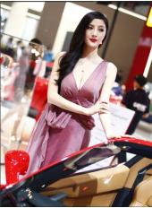 2010成都車(chē)展