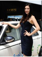2010廣州車(chē)展