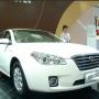 2010深港澳車展