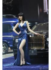 2012上海車(chē)展