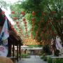休閑?起亞小鎮(zhèn)