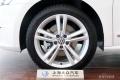 2014款 1.8TSI DSG御尊導航版