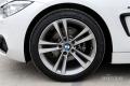 2014款 420i Gran Coupe 運(yùn)動(dòng)設(shè)計(jì)套裝