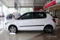 2013款 1.6L 自動Sport版