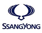 上海龐大龍翔汽車銷售有限公司