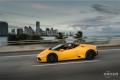 蘭博基尼/蘭博基尼/蝙蝠(進口)/LP 670—4 SuperVeloce