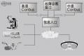 福特/江鈴汽車/新世代全順/2.4T柴油豪華型短軸中低頂國(guó)III