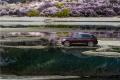 英菲尼迪（進(jìn)口）/英菲尼迪QX50/2.5L 四驅(qū)尊雅版