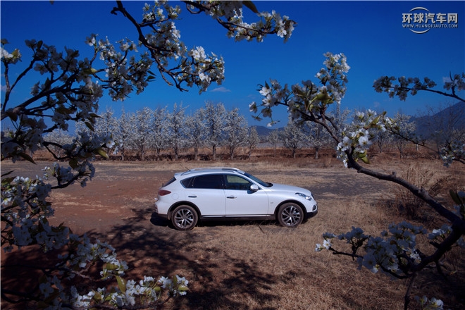 英菲尼迪（進口）/英菲尼迪QX50/2.5L 四驅(qū)尊雅版