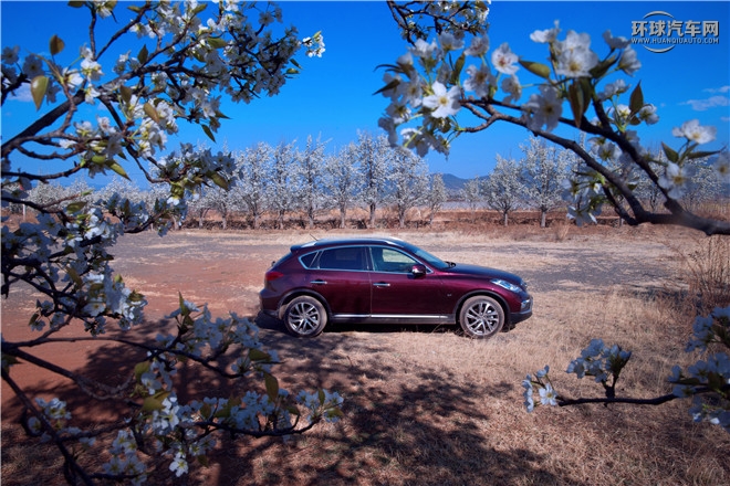 英菲尼迪（進(jìn)口）/英菲尼迪QX50/2.5L 四驅(qū)尊雅版