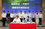 共推智能出行，臨港集團(tuán)與中智行確立戰(zhàn)略合作