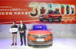 對(duì)話斯柯達(dá)車(chē)主 300萬(wàn)數(shù)字背后的故事