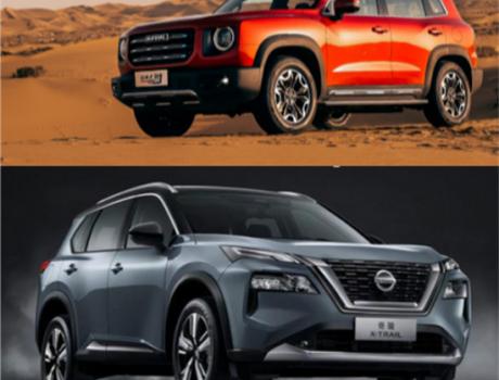 日產(chǎn)奇駿為何不能耍沙越野 車(chē)主選購(gòu)大狗后現(xiàn)身說(shuō)法