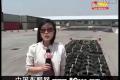 高性價比SUV一展風(fēng)采 杭州試駕豐田RAV4